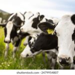 2025173期开奖结果最新公布与完整号码查询 3tne7k5y