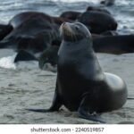 2025174期开奖结果最新公布与完整号码查询 4y9jcw8ees