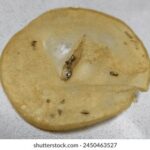 2025178期开奖结果公布最新中奖号码揭晓 5qb6ignih