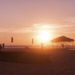 4501期最新开奖结果查询与中奖号码公布 7lx24k5le