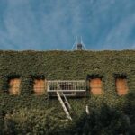 453期开奖号码前后区走势全面分析 8vfvqftg