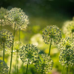 466开奖结果揭晓,幸运号码震撼公布 c1n55mco