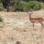 2025183期开奖结果公布最新中奖号码揭晓 c7z7d8i5