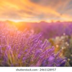 2025180期开奖结果最新公布与详细分析 i1qvl0jki