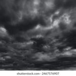 456799期最新开奖结果已公布,快来看看你中奖了吗? nk8xe430o