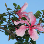 2025187期开奖结果最新公布与完整号码查询 p4dll6e6v3