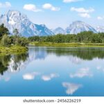 2025154期开奖号码最新公布与结果查询 r81hx