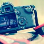 2025186期开奖号码正式公布最新结果 xr92vi6i